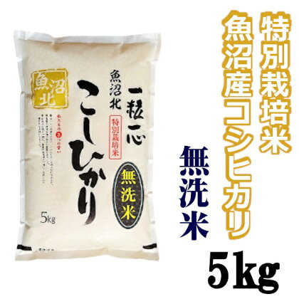 【令和5年産】【無洗米】特別栽培米 魚沼産コシヒカリ 5kg（(有)グリーン）魚沼 米 r05-10-7G