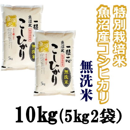 【令和5年産】【無洗米】特別栽培米 魚沼産コシヒカリ 5kg×2袋（(有)グリーン）魚沼 米 r05-20-3G