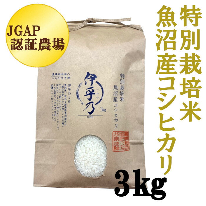 市場 ふるさと納税 令和3年産 魚沼産コシヒカリ 市場 ふるさと納税 令和3年産 魚沼産コシヒカリ