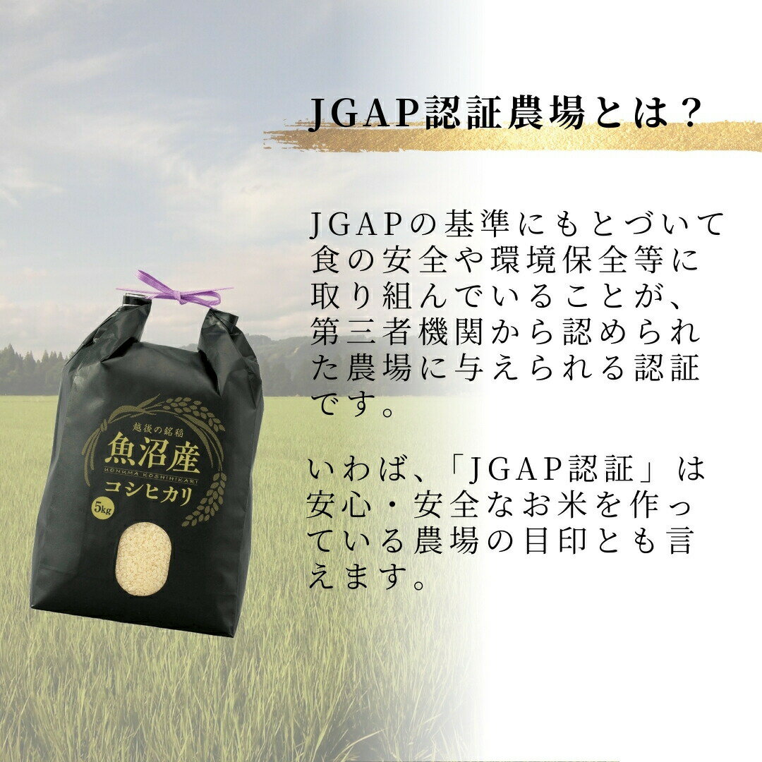 【ふるさと納税】 令和7年産 魚沼産コシヒカリ 精米 選べる数量 配送回数 5kg /10kg /15kg /30kg /60kg 毎月・隔月定期便 JGAP認証農場 うちがまき絆 | 白米 お米 魚沼 新潟県産 新米【0002-UK00-01】