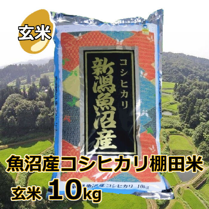 18位! 口コミ数「0件」評価「0」魚沼産コシヒカリ 棚田米 玄米 10kg r05-025-001