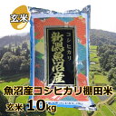 名称 玄米 産地名 新潟県魚沼地域 品種 コシヒカリ 産年 令和5年 使用割合 単一原料米 内容量 10kg 精米年月日 別途商品ラベルに記載 提供元 佐藤農場 新潟県小千谷市船岡3-3-22 詳細 減農薬栽培に加えて、EM光合成菌と農業用水をイオン分解（特許農法）をすることにより化学肥料に頼らない「安心・安全なコメ作り」に取り組んでいます。 その結果、残留農薬検査は6年連続「検知せず」の結果を得ています。 さらに、調整工程・精米工程に色彩選別機を導入し、品質には絶対の自信があります。 ・ふるさと納税よくある質問はこちら ・寄付申込みのキャンセル、返礼品の変更・返品はできません。あらかじめご了承ください。「ふるさと納税」寄付金は、下記の事業を推進する資金として活用してまいります。 寄付を希望される皆さまの想いでお選びください。 ・小千谷市のまちづくり全般 ・教育、文化、スポーツに関する事業 ・福祉、健康、医療に関する事業 ・産業に関する事業 ・都市基盤に関する事業 ・防災、環境、克雪に関する事業 ・交流、市民参加に関する事業 特段のご希望がなければ、市政全般に活用いたします。 入金確認後、注文内容確認画面の【注文者情報】に記載の住所にお送りいたします。 発送の時期は、寄付確認後7日以内を目途に、お礼の特産品とは別にお送りいたします。