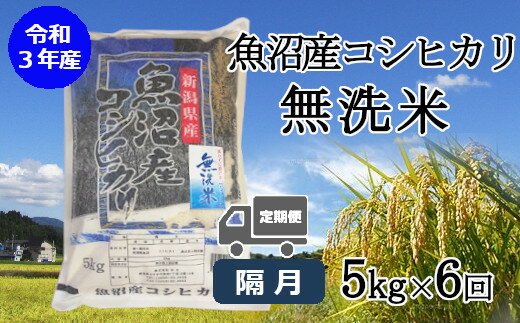 【ふるさと納税】無洗米 魚沼産コシヒカリ 定期便 5kg 6回 隔月お届け