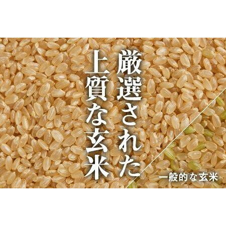 【ふるさと納税】〔定期便 毎月〕〔玄米 選別品〕令和5年産 魚沼産コシヒカリ玄米定期便 5kg×3回【毎月お届け】（米太）KT28P76