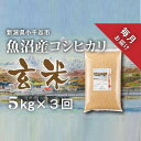 【ふるさと納税】〔定期便 毎月〕〔玄米 選別品〕令和5年産 