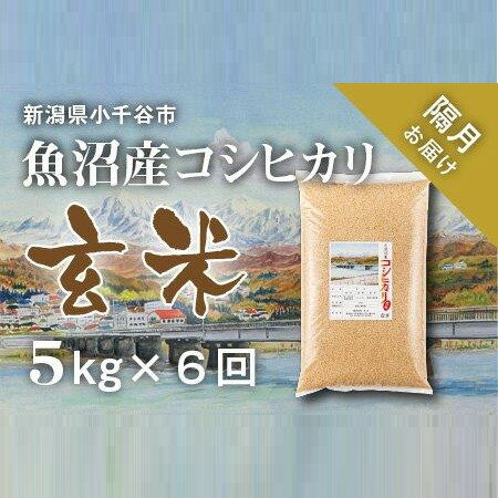 【ふるさと納税】〔定期便 隔月〕〔玄米 選別品〕令和5年産 