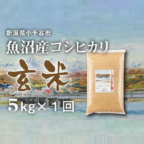 〔玄米 選別品〕 令和5年産 魚沼産コシヒカリ 玄米 5kg (米太)KT10P1