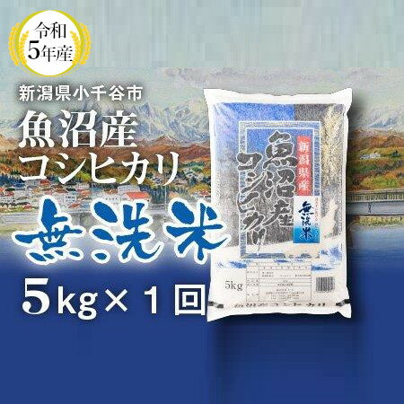 【ふるさと納税】令和5年産 無洗米 魚沼産コシヒカリ 5kg