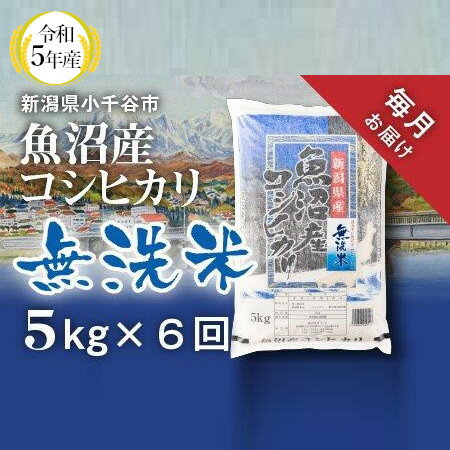 令和5年産 無洗米 魚沼産コシヒカリ 定期便5kg×6回(毎月お届け)r05-60-2kt