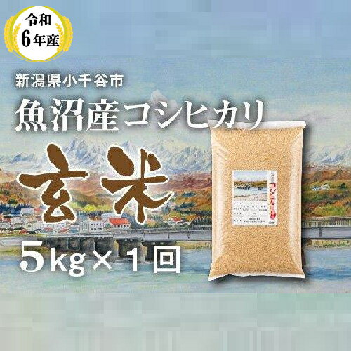 【ふるさと納税】令和6年産 魚沼産コシヒカリ 玄米 5kg 米 お米 おこめ ブランド米 こしひかり コシヒカリ 産地直送 お取り寄せ おいしい おすすめ 人気 米太 新潟 魚沼 小千谷市 KT12P347