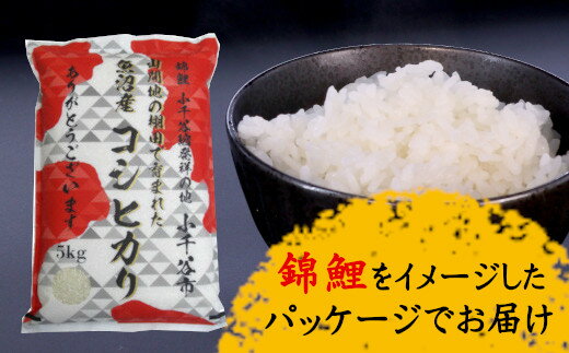 【ふるさと納税】棚田米魚沼産コシヒカリ特別栽培米5kg（錦鯉デザインパッケージ）白米 r05-13-9