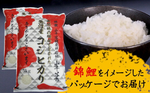 9位! 口コミ数「0件」評価「0」棚田米魚沼産コシヒカリ特別栽培米10kg（5kg×2袋）（錦鯉デザインパッケージ）白米 r05-26-1