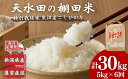 【令和7年産 定期便】わかとち産 魚沼コシヒカリ 特別栽培 棚田米 5kg×6回(毎月お届け) 新米 精米 新潟県産 こしひかり Mt.ファームわかとち【0013-0005DB00-01】