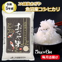 【ふるさと納税】＜令和5年産＞（定期便） 魚沼産コシヒカリ定期便 5kg×6回（毎月お届け）（JA越後おぢや） 白米 精米 r05-62-1JA