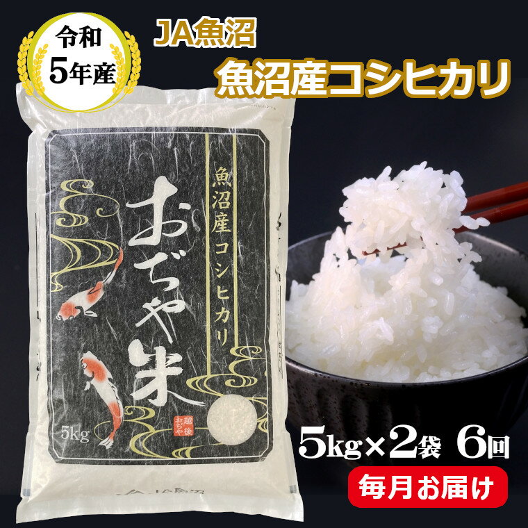 [令和5年産](定期便)魚沼産コシヒカリ定期便 5kg2袋×6回(毎月お届け)(JA魚沼)60kg 白米 r05-123-2JA