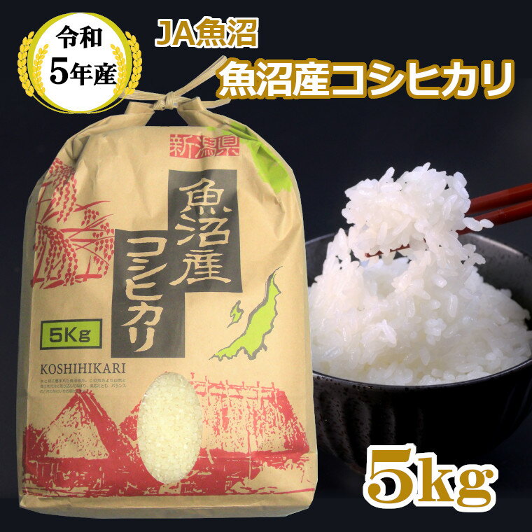 [令和5年産] 魚沼産コシヒカリ5kg[クラフト袋入り](JA魚沼)白米 魚沼 米 r05-12-2JA