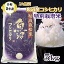 18位! 口コミ数「0件」評価「0」＜令和5年産＞特別栽培米 魚沼産コシヒカリ5kg JA魚沼 白米 魚沼 米 r05-14-4JA