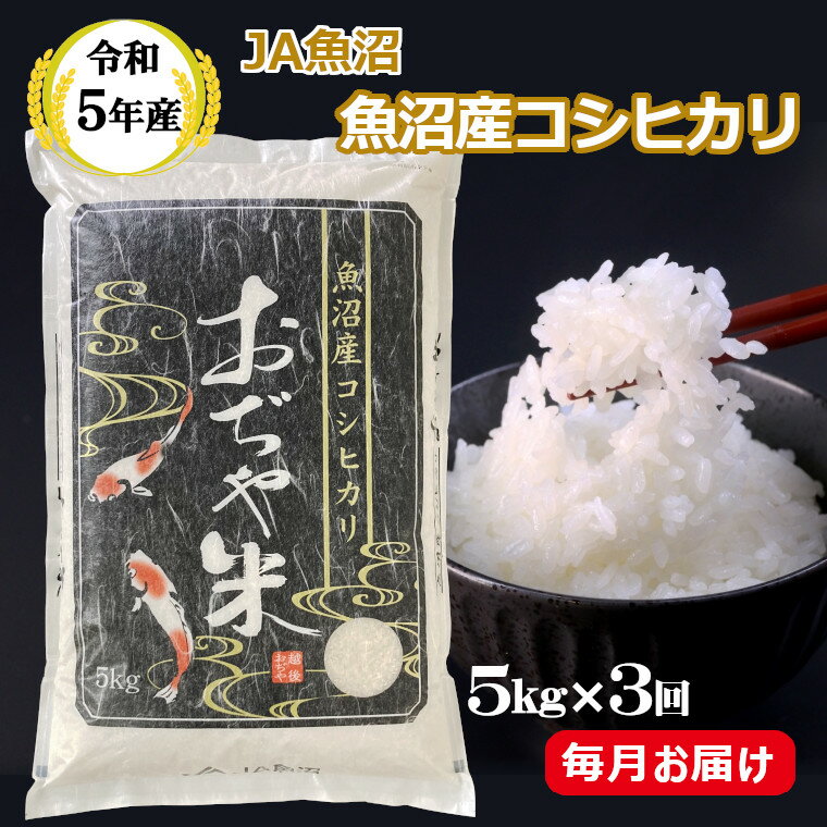 【ふるさと納税】＜令和5年産＞ 魚沼産コシヒカリ定期便 5kg×3回（3か月連続お届け）（JA魚沼）白米 魚沼 米 定期便 r05-31-1JA