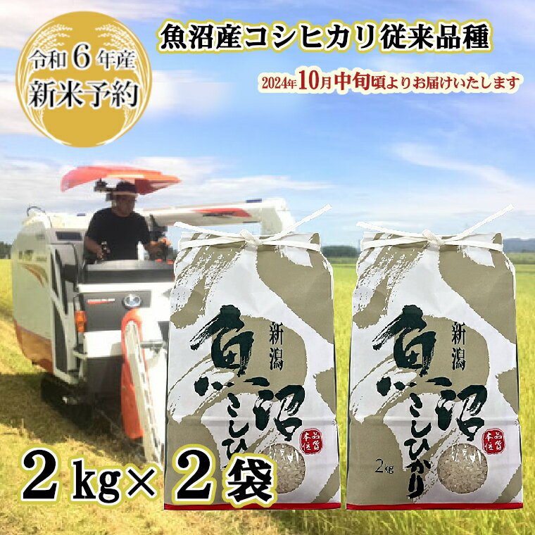 【ふるさと納税】【令和6年産 新米予約】昔ながらの魚沼産コシ