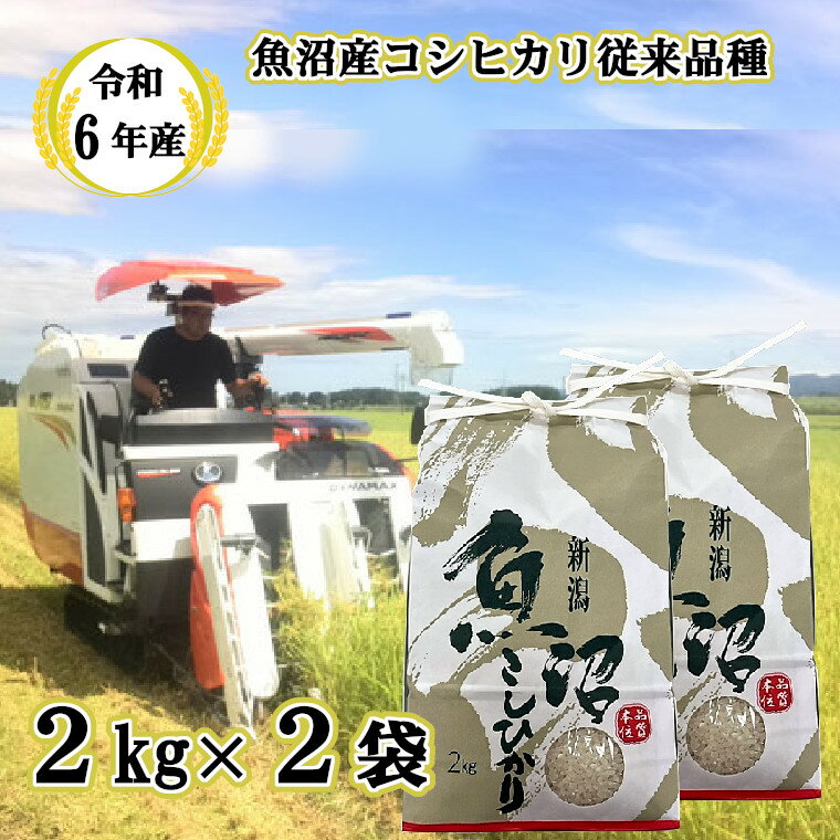 【ふるさと納税】【令和6年産】昔ながらの魚沼産コシヒカリ2kg×2袋【従来品種】 農園ビギン 白米 精米 令和6年産 魚沼産 新潟県 N12P483のサムネイル
