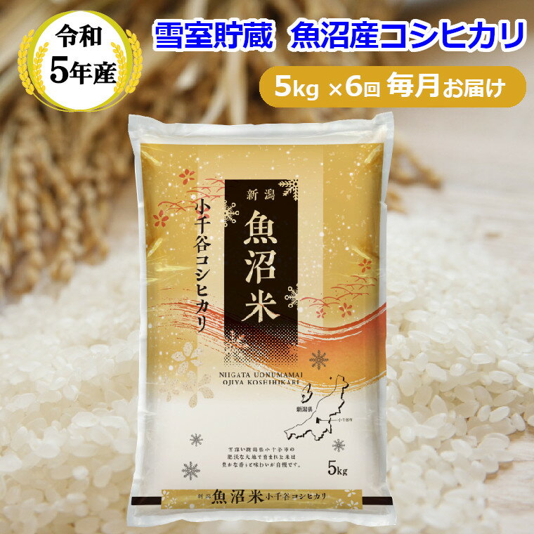 楽天新潟県小千谷市【ふるさと納税】令和5年産 定期便 雪室貯蔵 魚沼産 コシヒカリ5kg×6回 毎月お届け 白米 米 新潟県 小千谷市 r05-060-011ki