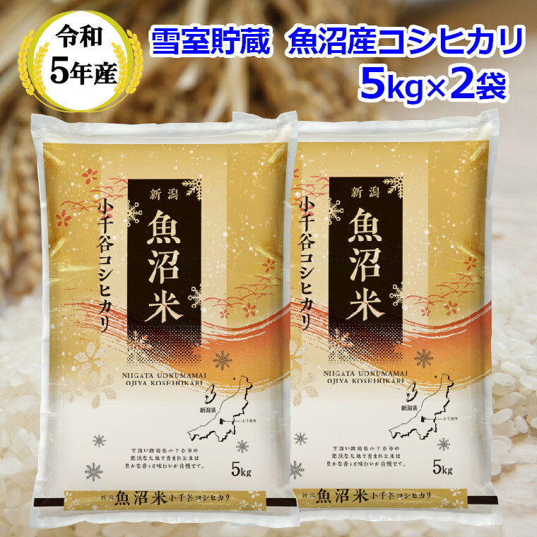 【ふるさと納税】令和5年産 雪室貯蔵 魚沼産コシヒカリ 5kg×2袋 白米 米 新潟県 小千谷市 r05-017-019ki