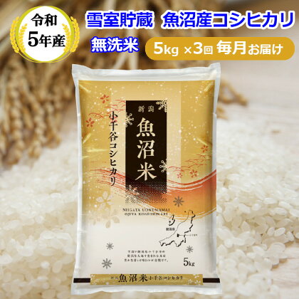 令和5年産 定期便 雪室貯蔵 無洗米 魚沼産 コシヒカリ5kg×3回 毎月お届け 米 新潟県 小千谷市 r05-033-004ki