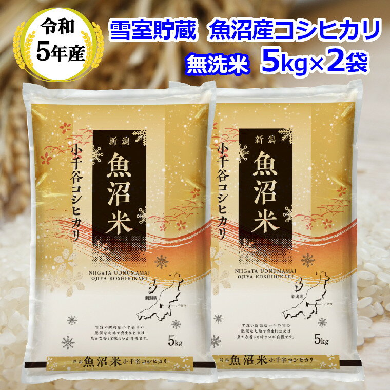 【ふるさと納税】令和5年産 雪室貯蔵 無洗米 魚沼産コシヒカリ 5kg×2袋 r05-018-006ki