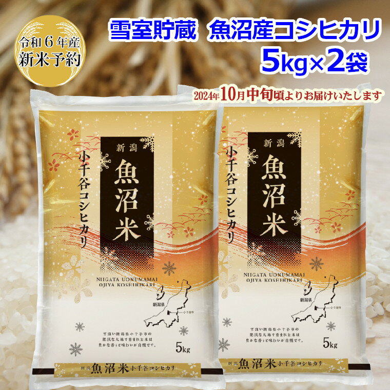 【ふるさと納税】【令和6年産 新米予約】雪室貯蔵 魚沼産コシヒカリ5kg×2袋 早期受付 2024年10月中旬から発送開始 ki17P205のサムネイル
