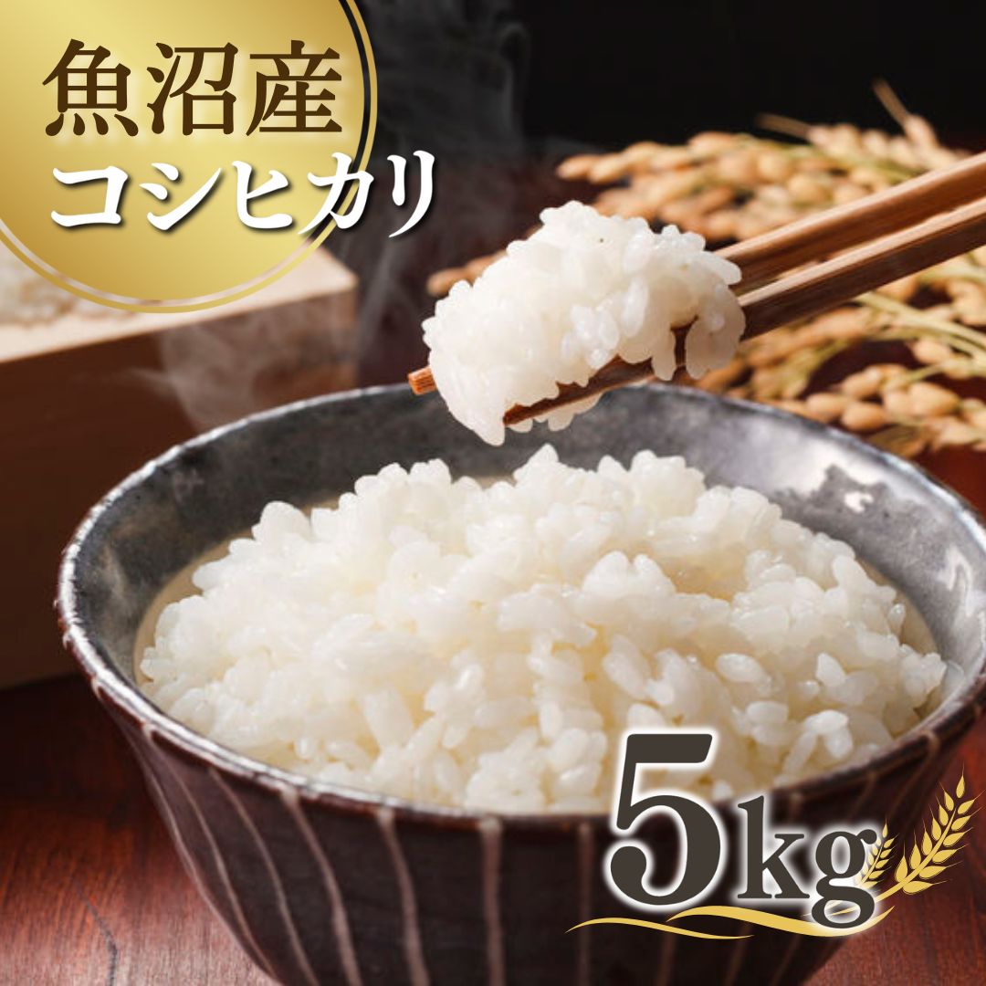 [先行予約] 令和7年産新米 魚沼産コシヒカリ 5kg(5kg×1袋) 雪室貯蔵 吉兆楽 [0038-0001-01]