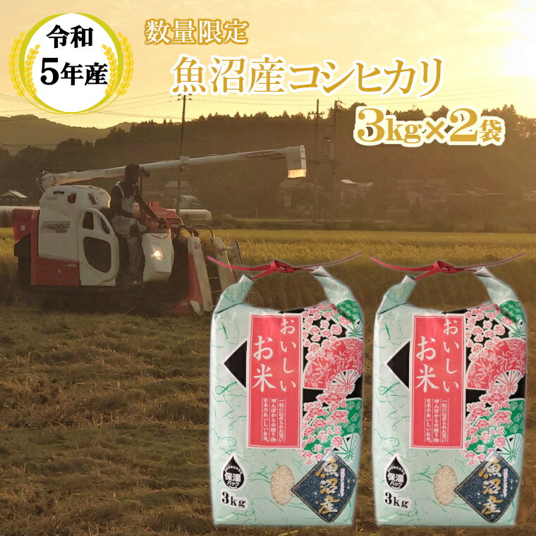 [数量限定]令和5年産米 魚沼産 コシヒカリ3kg2袋(宮内農園) 白米 魚沼 米 13