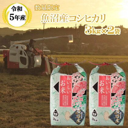 《数量限定》令和5年産米 魚沼産 コシヒカリ3kg2袋（宮内農園） 白米 魚沼 米 13P123