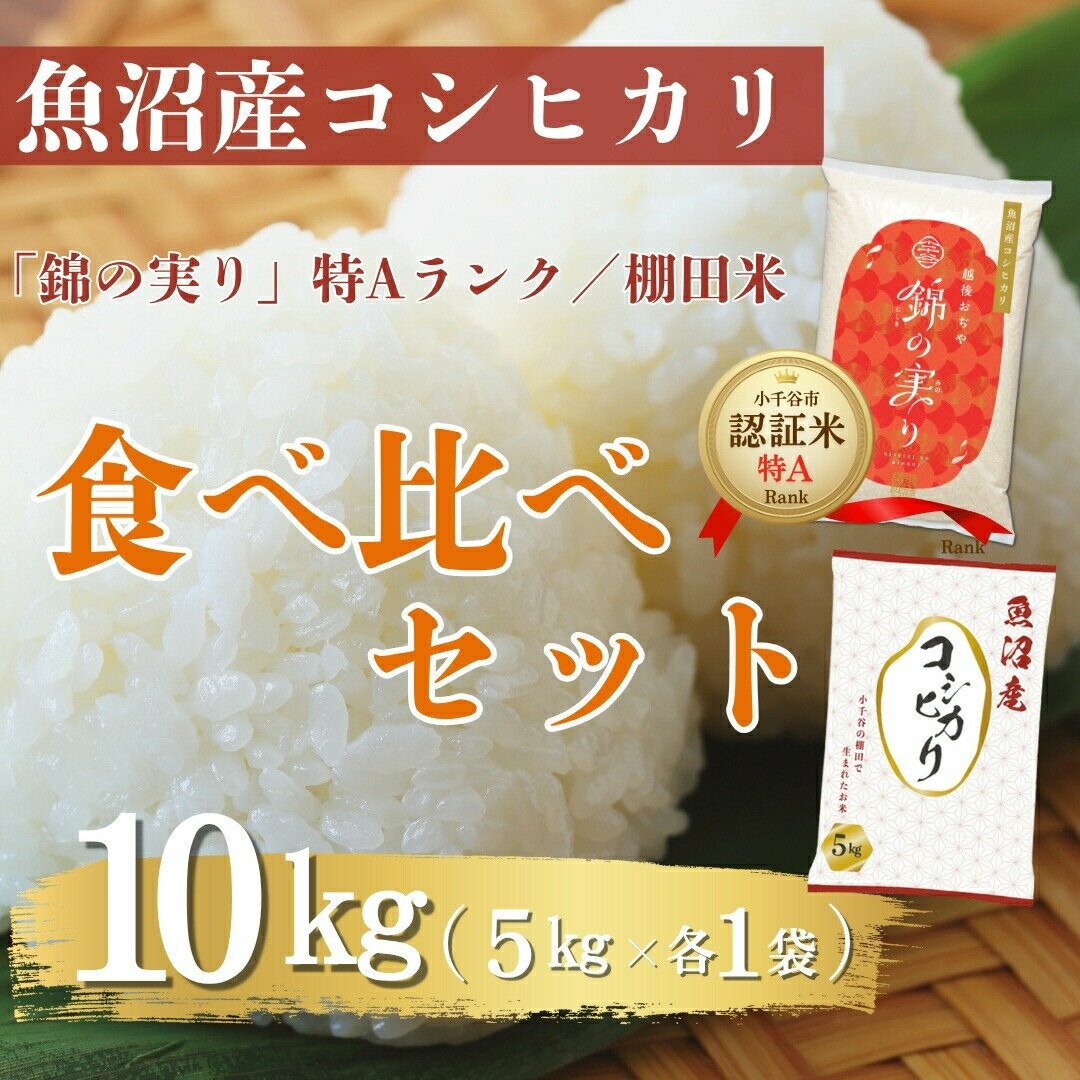 令和7年産 魚沼産コシヒカリ ブランド認証米「錦の実り」特Aランクと棚田米 食べ比べ10kg(5kg2袋) | 新潟県産 コシヒカリ お米 米 こしひかり おこめ こめ コメ 白米 精米 魚沼産 ブランド米[0002-0396-01]
