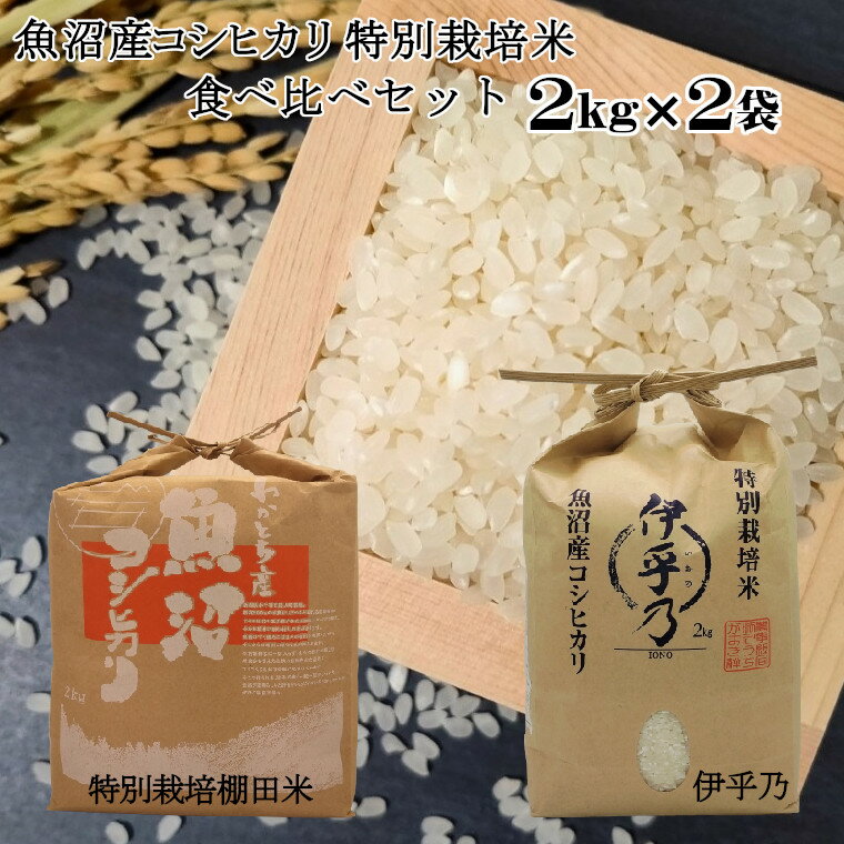 【ふるさと納税】魚沼産コシヒカリ2kg2袋 特別栽培米食べ比べセット（Mt.ファーム わかとち）（うちがまき絆） 11P2