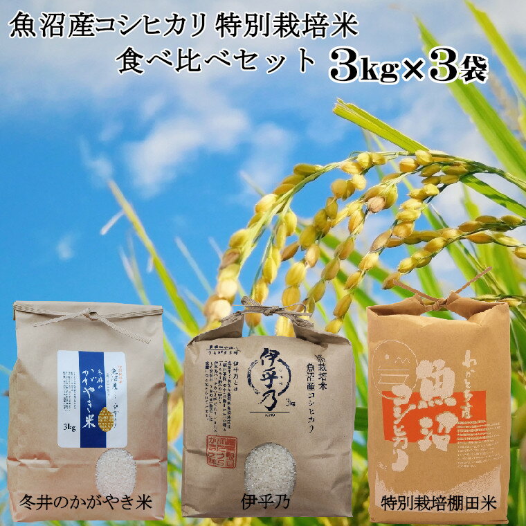 9位! 口コミ数「0件」評価「0」魚沼産コシヒカリ3kg3袋 特別栽培米食べ比べセット（うちがまき 絆）（アスカ冬井）（Mt.ファームわ かとち） 23P122