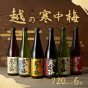 【ふるさと納税】日本酒 越の寒中梅 6種類飲み比べセット 720ml×6本 淡麗辛口 新潟銘醸 【0002-0085-01】