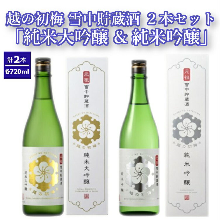 【ふるさと納税】越の初梅 雪中貯蔵酒 720ml(箱入)×2本セット 高の井酒造 日本酒 雪中貯蔵 720ml 新潟県 小千谷市 r05-023-003