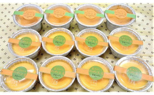 【ふるさと納税】胃袋かぼちゃ＆バターナッツかぼちゃの手作りプリン(70g×12個) プリン ぷりん かぼちゃプリン お菓子 洋菓子 冷凍 スイーツ ギフト おやつ デザート スイーツギフト ご褒美 ごほうび 贈り物 手作り おすすめ 14P40のサムネイル