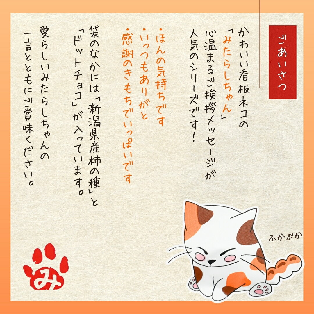 【ふるさと納税】ほんの気持ちをお菓子で伝える ご挨拶にぴったり 柿の種＆ドットチョコ 計15パック詰合せ(3種類×5袋) 創信産業 | かきのたね チョコ お菓子 おかし 人気 おすすめ お取り寄せ 贈り物 ギフト プレゼント 新潟県 小千谷市 【0025-0001-02】