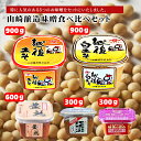 【ふるさと納税】山崎醸造 味噌食べ比べ5個セット (5種類×各1個) みそ 調味料 山崎醸造 【0002-0231-01】