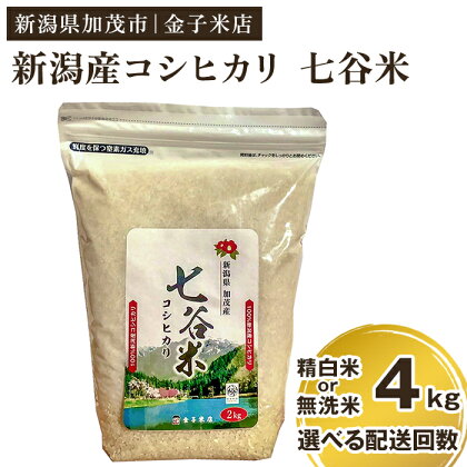 【2024年先行予約】令和6年産新米 老舗米穀店が厳選 新潟産 従来品種コシヒカリ「七谷米」精白米 or 無洗米4kg（2kg×2）選べる配送回数（通常配送1回～定期便12回）窒素ガス充填パックで鮮度長持ち 金子米店