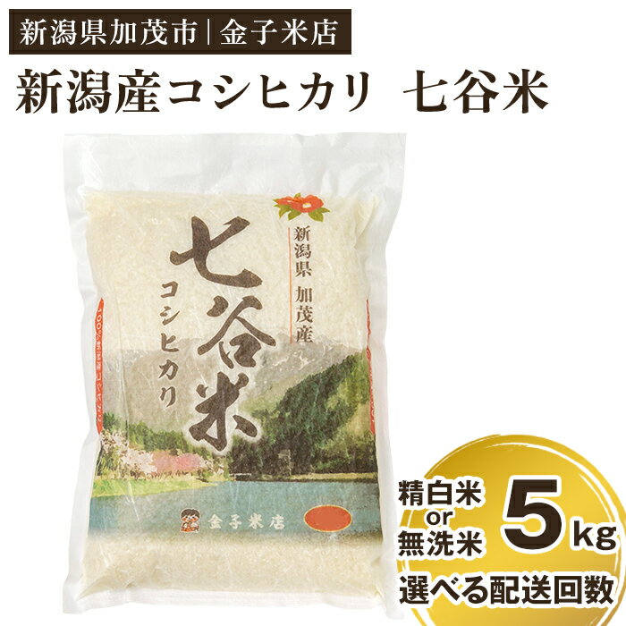 【ふるさと納税】【2024年先行予約】【令和6年産新米】老舗米穀店が厳選 新潟産 従来品種コシヒカリ「七谷米」精白米 or 無洗米5kg 選べる配送回数（通常配送1回～定期便12回） 窒素ガス充填パックで鮮度長持ち 金子米店