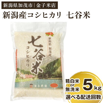 【2024年先行予約】令和6年産新米 老舗米穀店が厳選 新潟産 従来品種コシヒカリ「七谷米」精白米 or 無洗米5kg 選べる配送回数（通常配送1回～定期便12回） 窒素ガス充填パックで鮮度長持ち 金子米店