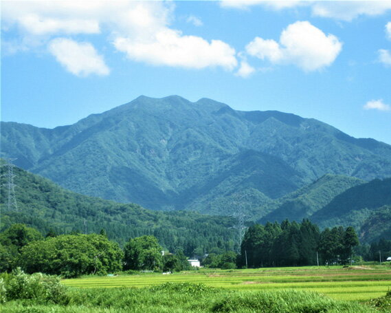 【ふるさと納税】令和5年産 新潟県加茂市 七谷産コシヒカリ 精米5kg 選べる配送回数（通常配送1回～定期便12回）白米 高柳地域産数量限定 昇徳会