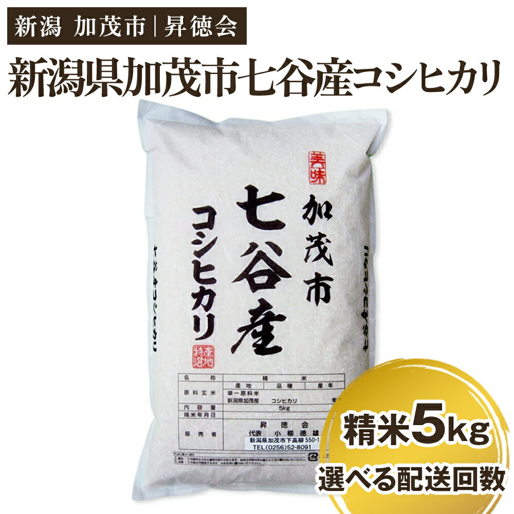 令和5年産 新潟県加茂市 七谷産コシヒカリ 精米5kg 選べる配送回数(通常配送1回〜定期便12回)白米 高柳地域産数量限定 昇徳会