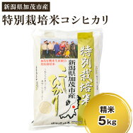 【ふるさと納税】新潟県加茂市産特別栽培米コシヒカリ精米5kg白米