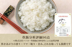 【ふるさと納税】新潟県加茂市産 特別栽培米コシヒカリ 玄米25kg（5kg×5）従来品種コシヒカリ 加茂有機米生産組合 画像1