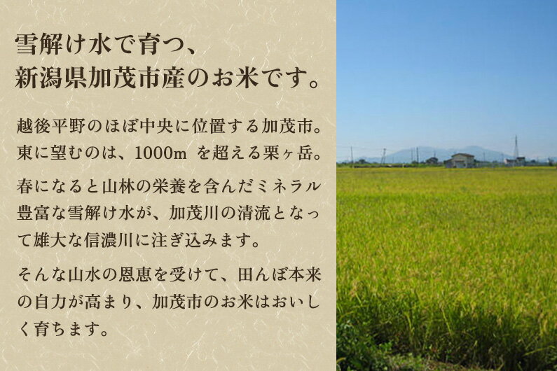 【ふるさと納税】【令和5年産米】新潟県加茂市産コシヒカリ 精米10kg（5kg×2）選べる配送回数（通常配送1回～定期便12回）白米 加茂有機米生産組合