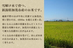 【ふるさと納税】新潟県加茂市産 特別栽培米コシヒカリ 玄米25kg（5kg×5）従来品種コシヒカリ 加茂有機米生産組合 画像2