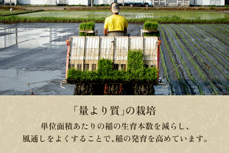 【ふるさと納税】令和5年産 新潟県加茂市産コシ...の紹介画像3